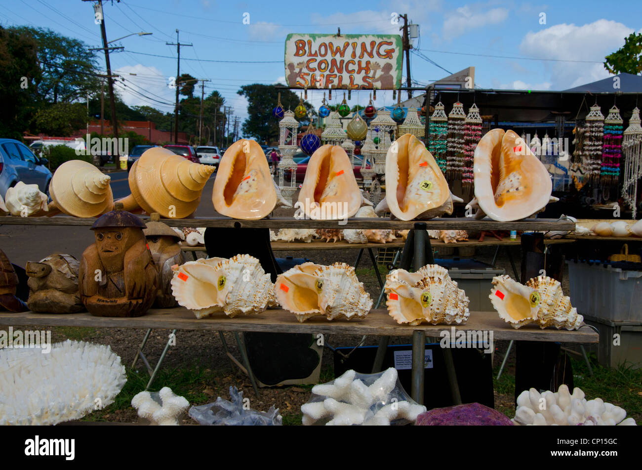 Blowing Conch Shells for sale at roadside stand at Haleiwa, Hawaii on