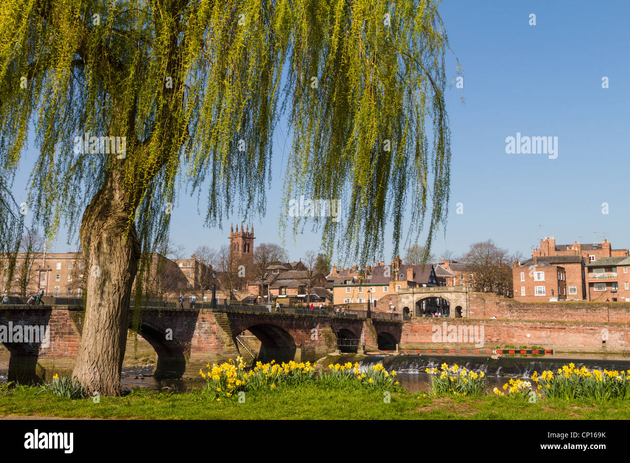 Willow tree arched bridge, Chester Stock Photo