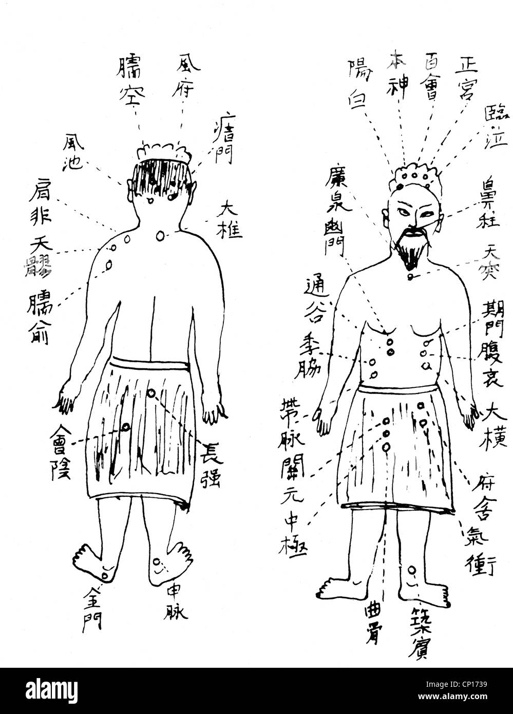 medicine, Chinese acupuncture, chart of the acupuncture displaying the different, in compliance of the illness of the body parts, illustration, man, men, masculine, in front, fore, forward, forwards, onwards, back, point, points, Chinese script, character, characters, clipping, cut out, cut-out, cut-outs, acupuncture, acupunctures, homeopathy, homoeopathy, hygienics, image, images, description, visualization, figure, figures, historic, historical, people, male, Additional-Rights-Clearences-Not Available Stock Photo