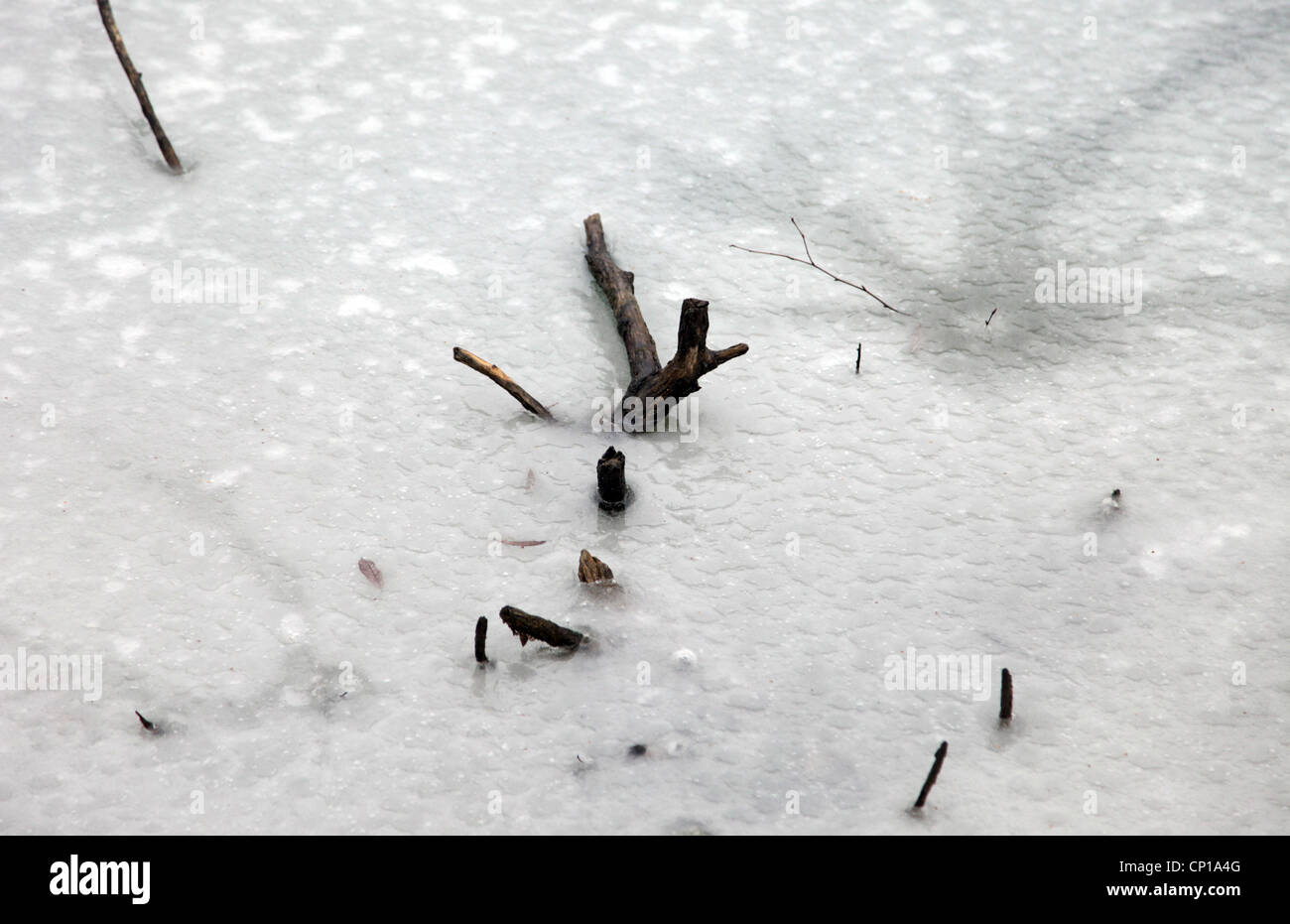 It's a photo of a frozen Lake with white cold Ice. We can see some wood stucked in the icy water. It must be very cold in there Stock Photo