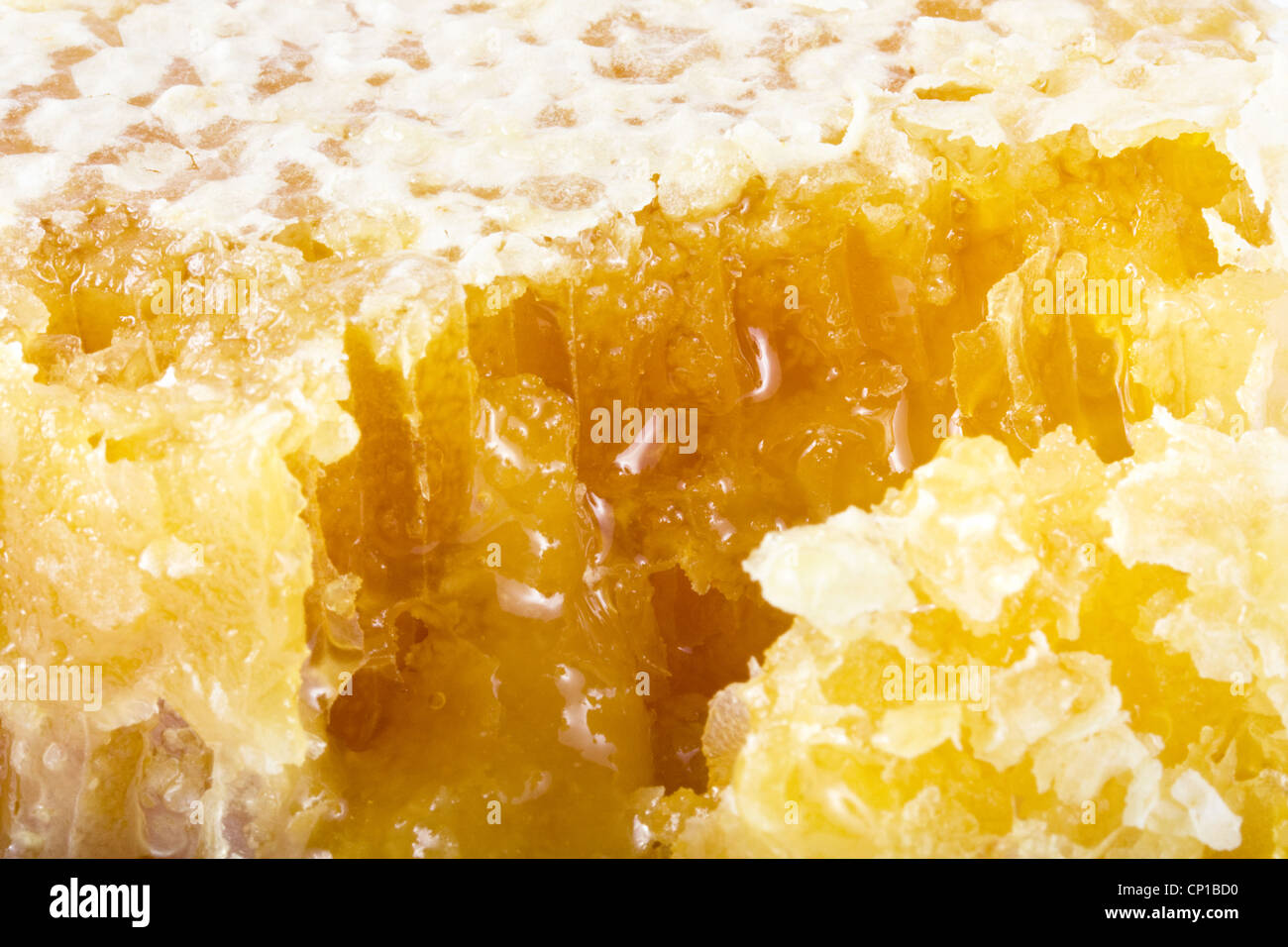 Background of fresh dripping honeycomb Stock Photo
