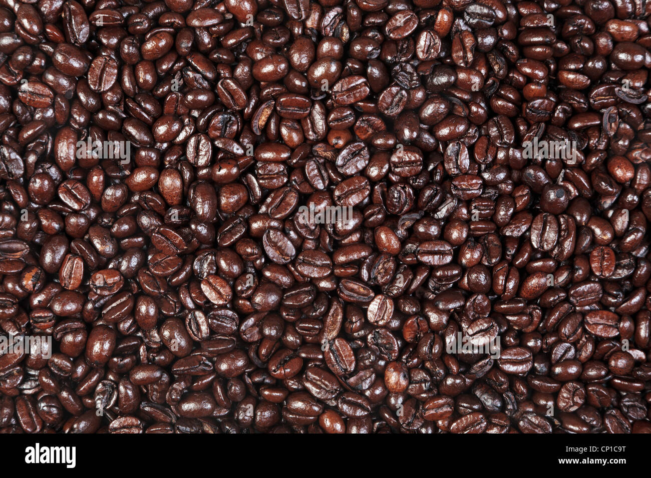 Photo of fresh roasted arabica and robusta coffee beans suitable for