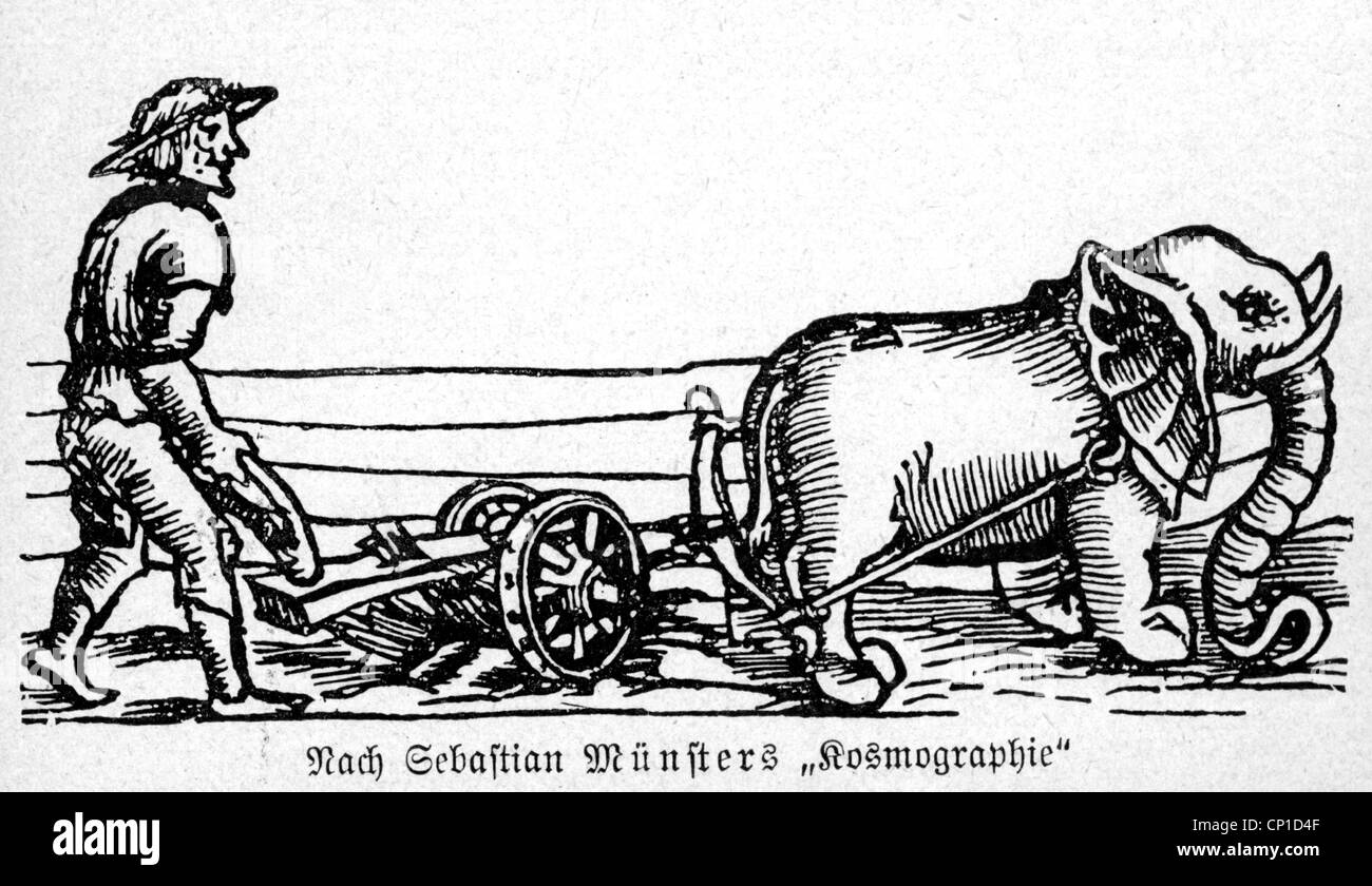 agriculture, farming, men with elephant plow, woodcut from 'Cosmographia' by Sebastian Muenster, 1st edition, 1544, Additional-Rights-Clearences-Not Available Stock Photo
