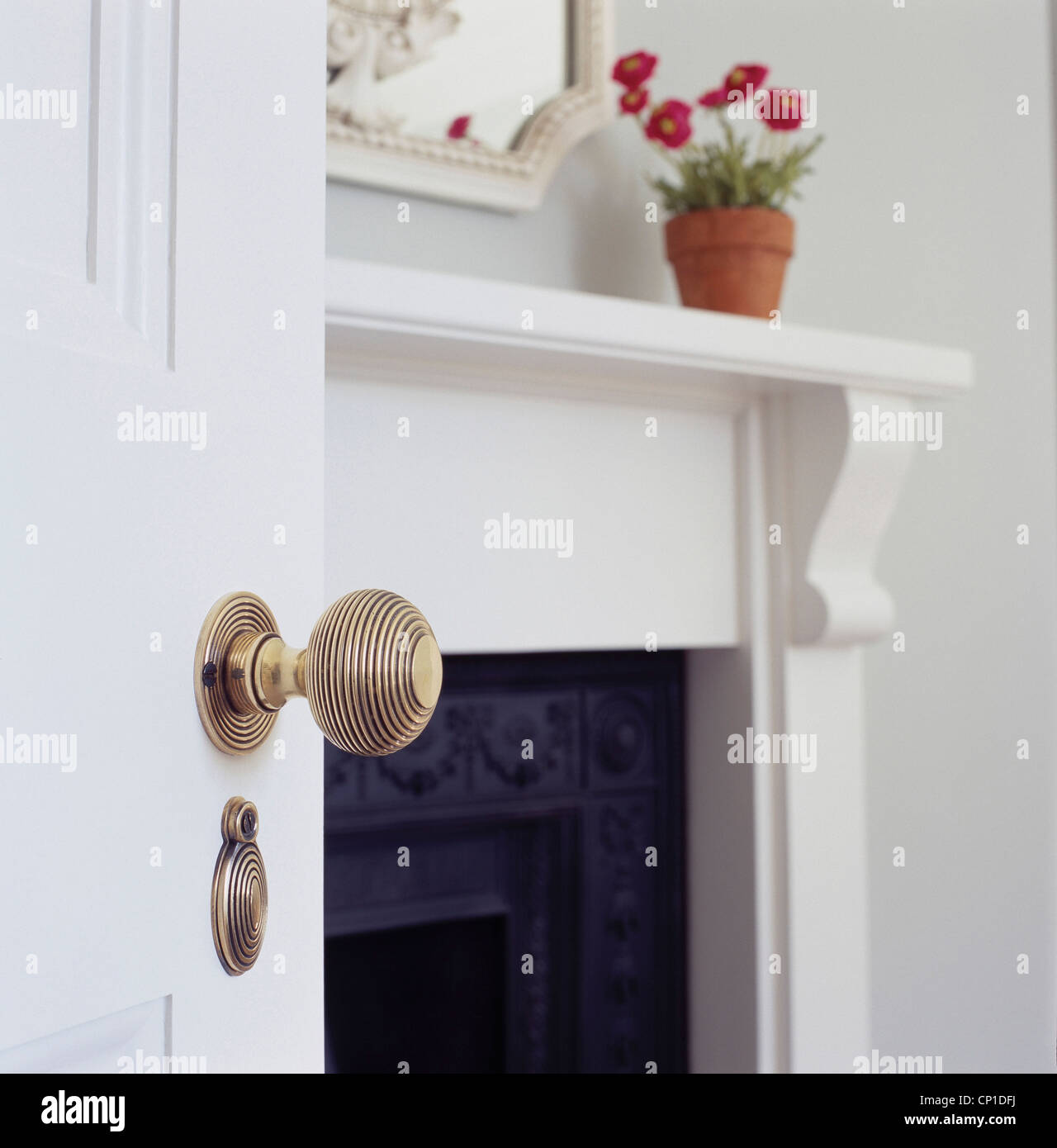 A Detail Of An Ornate Brass Door Handle On A White Door With View