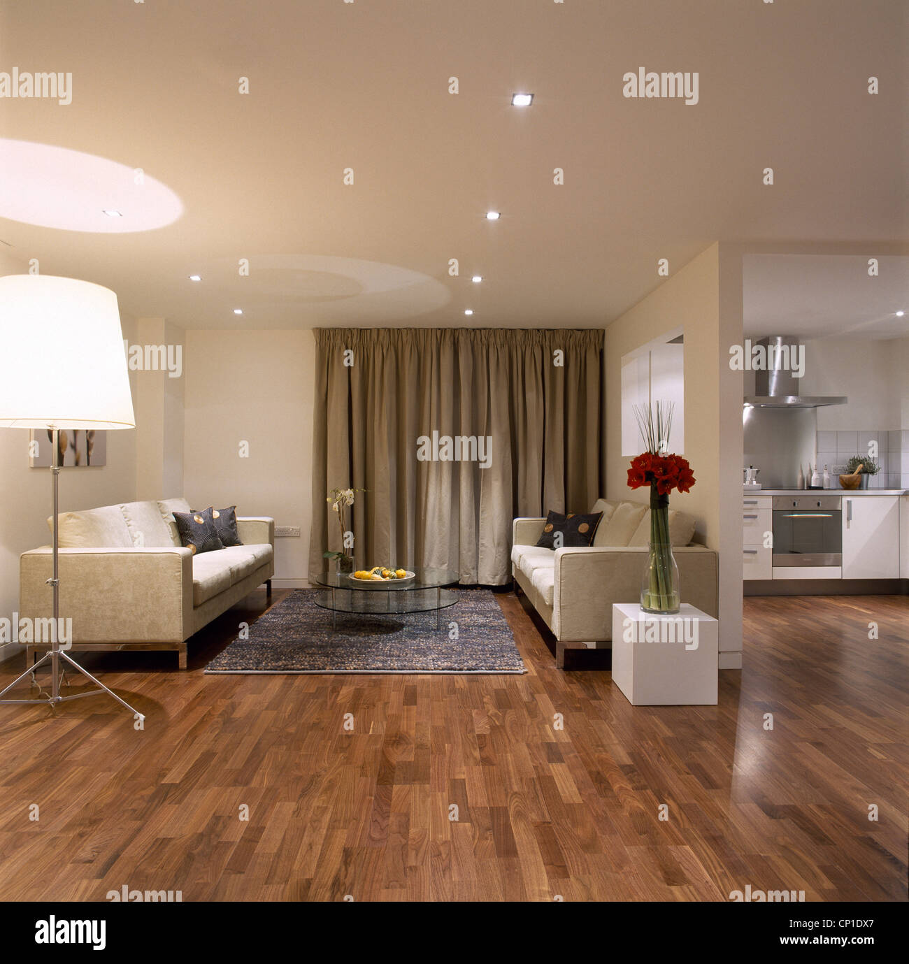 A modern, open plan sitting room with kitchen area, upholstered sofas