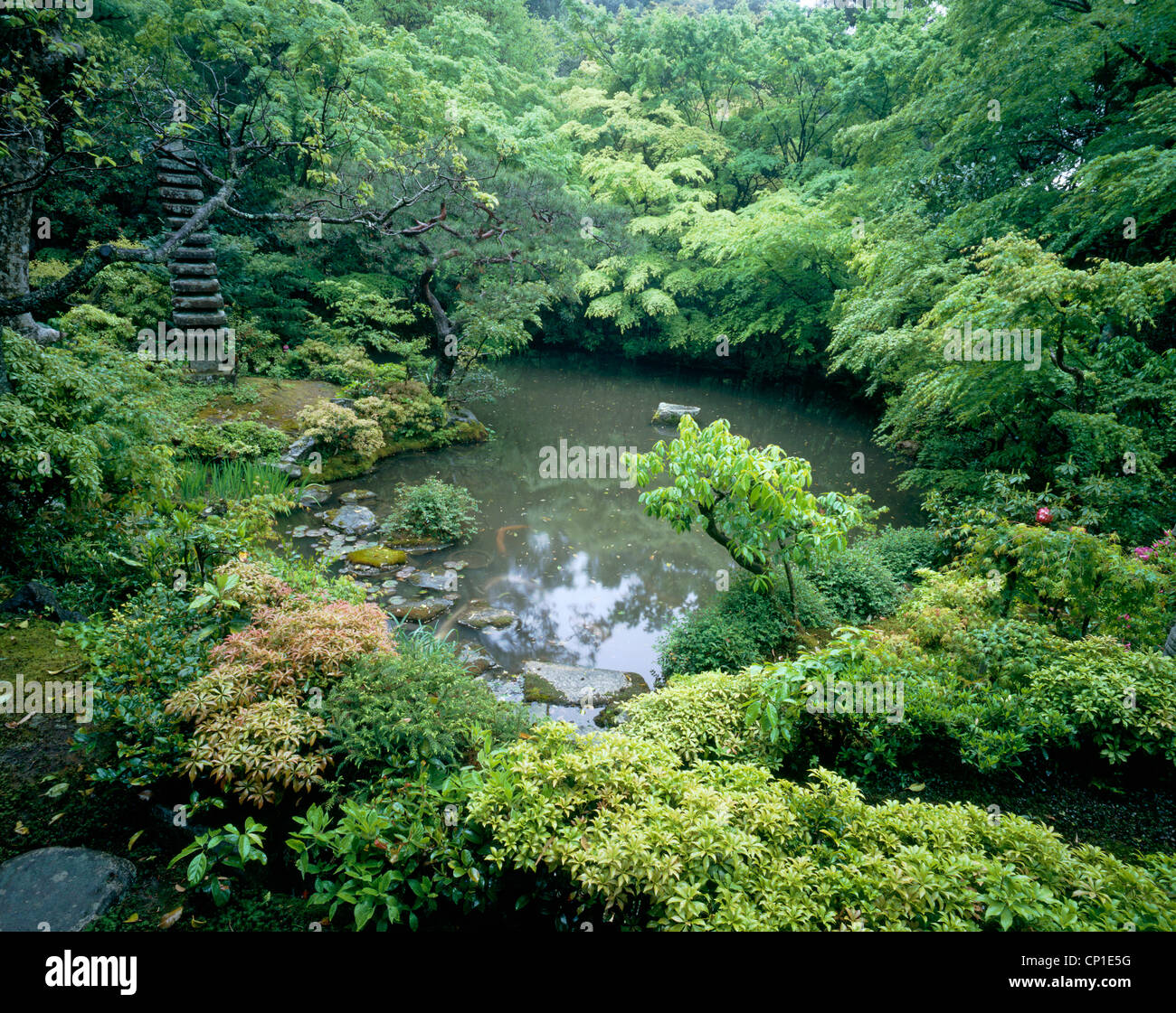 Oriental style garden with pond Stock Photo