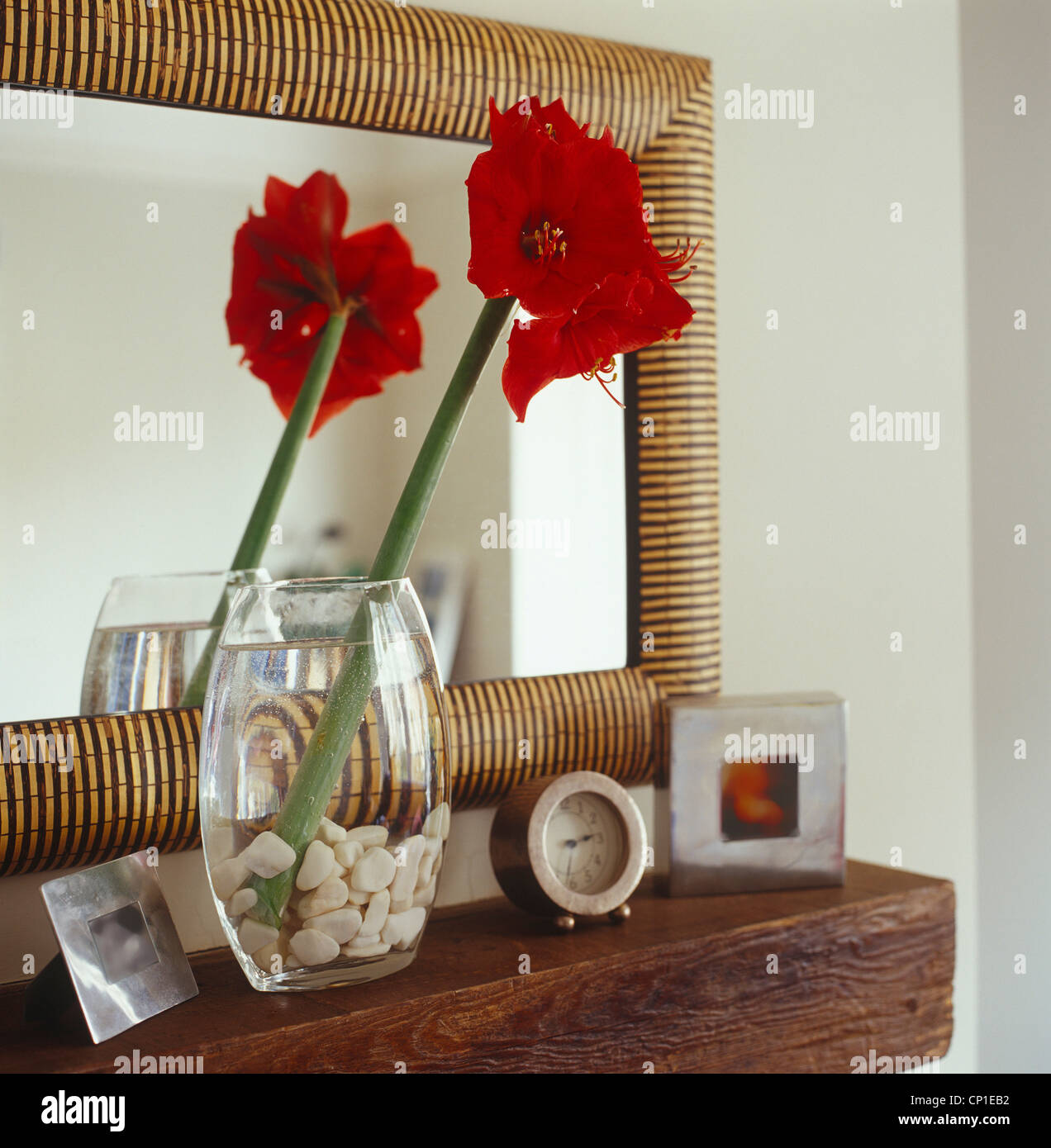 Red Amaryllis flower in glass vase on mantelpiece Stock Photo