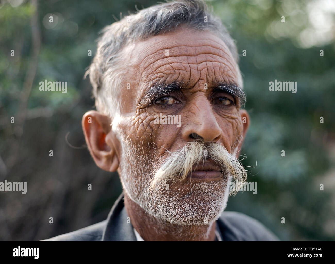 Typical rajasthani man at Pushkar Stock Photo
