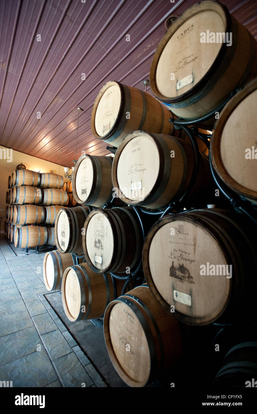 Wine barrel cellar drink hi-res stock photography and images - Alamy