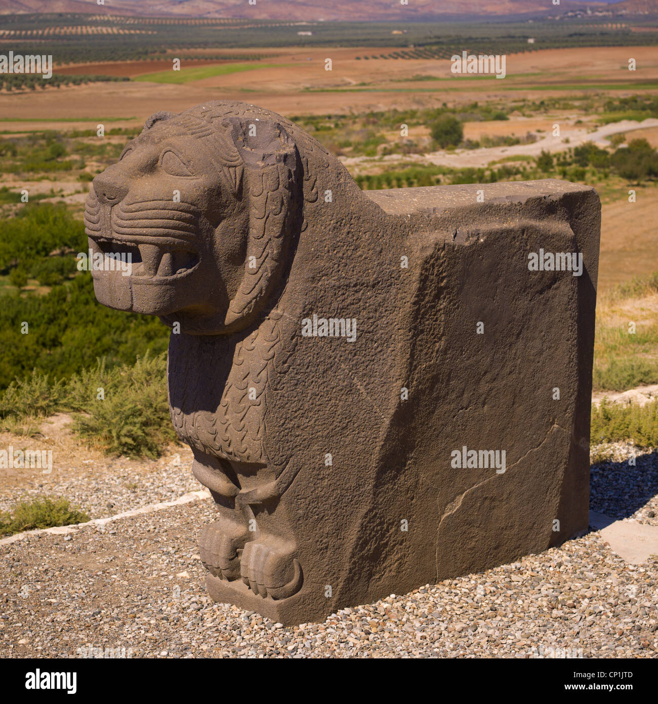 Massive Basalt Hittite Lion Carving, Syria Stock Photo