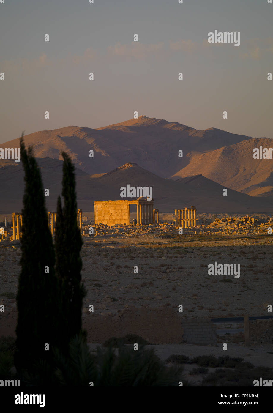 The Ancient Roman city of Palmyra, Syria Stock Photo