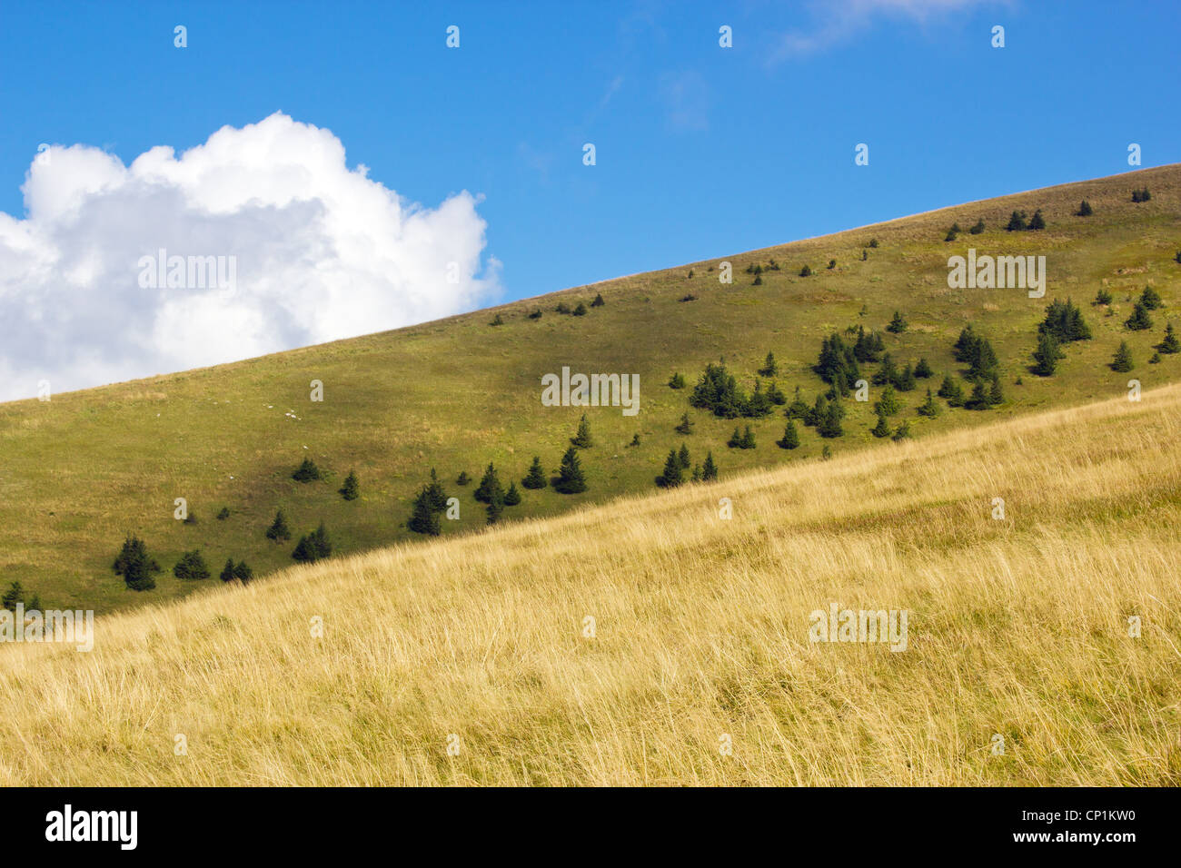 Mountain landscape, Velka Fatra, Slovakia Stock Photo