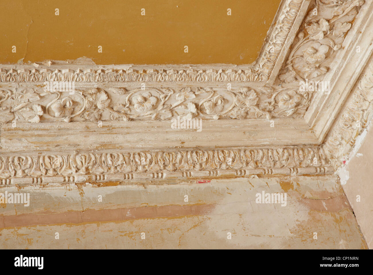 Plasterwork Cornice Stock Photos Plasterwork Cornice Stock
