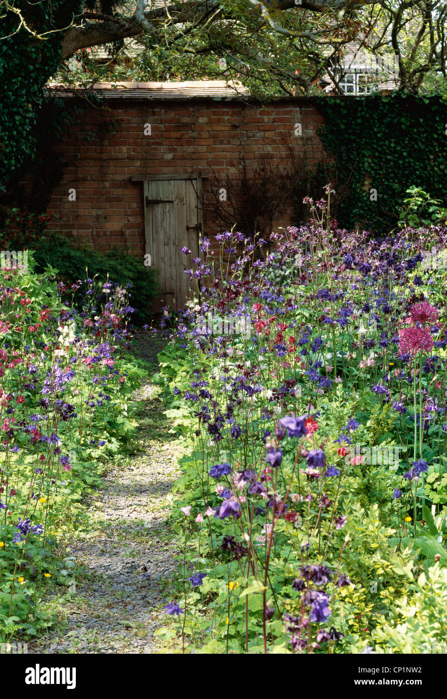 Aquilegia border and a false door and frame against a wall. Bryan's Ground, Stapleton Stock Photo