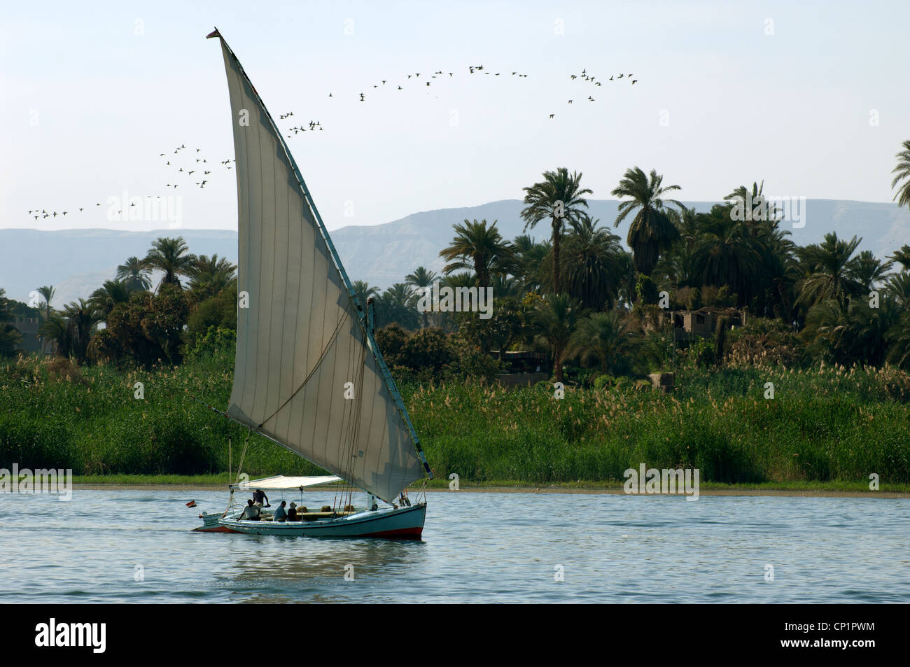 Feluccas sailing on the River Nile in Luxor Egypt Stock Photo - Alamy