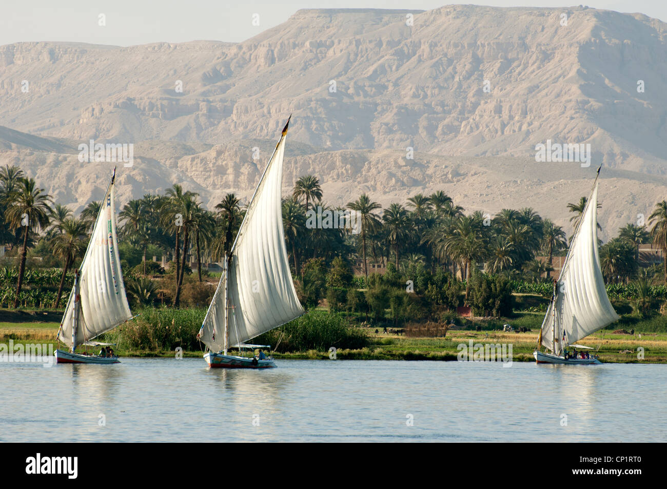 Feluccas sailing on the River Nile in Luxor Egypt Stock Photo - Alamy