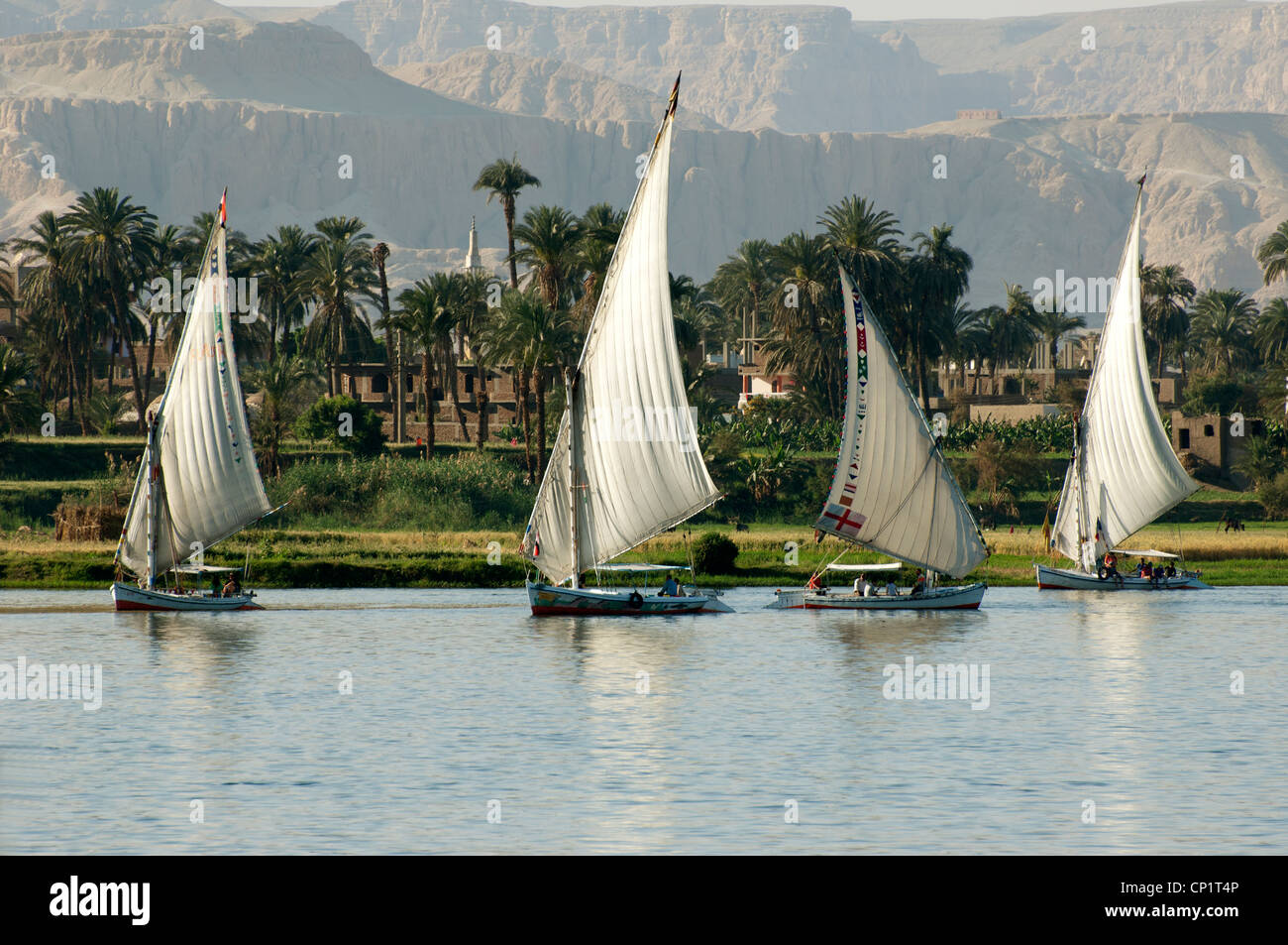 Feluccas sailing on the River Nile in Luxor Egypt Stock Photo - Alamy
