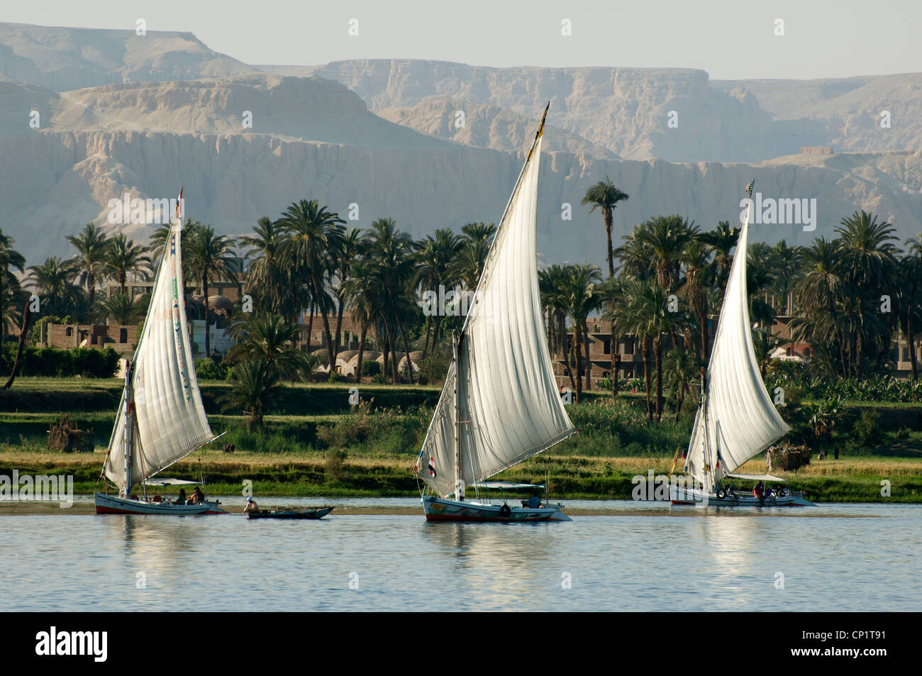 Feluccas sailing on the River Nile in Luxor Egypt Stock Photo - Alamy