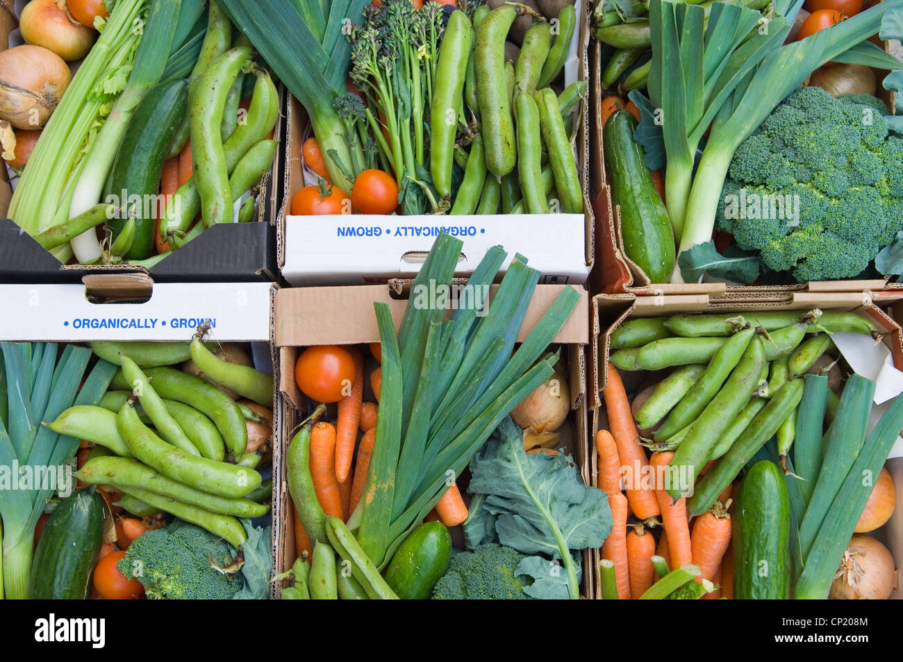 Fresh organic vegetables in boxes Stock Photo Alamy