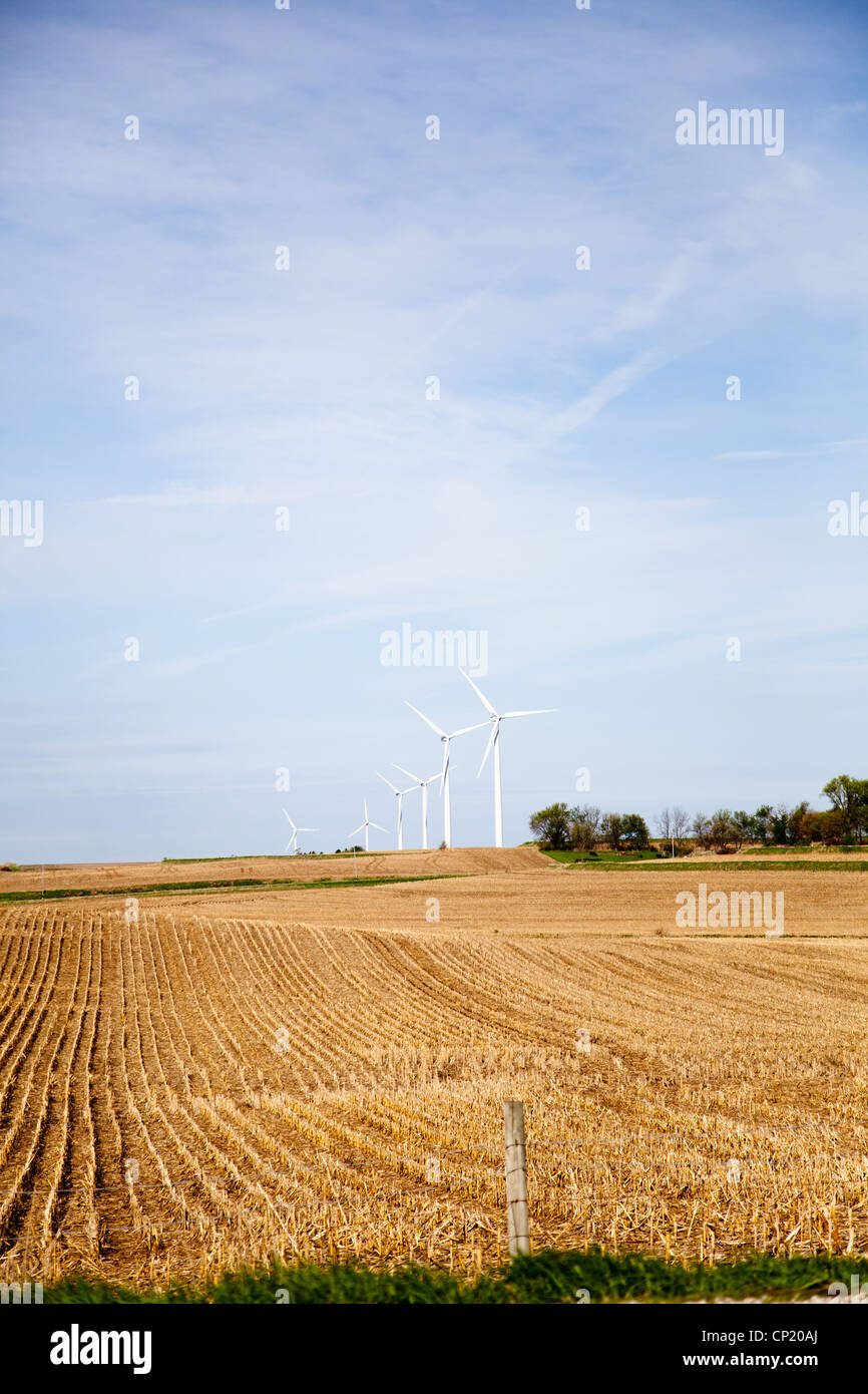 Wind turbines in a corn field near Adair Iowa Stock Photo Alamy