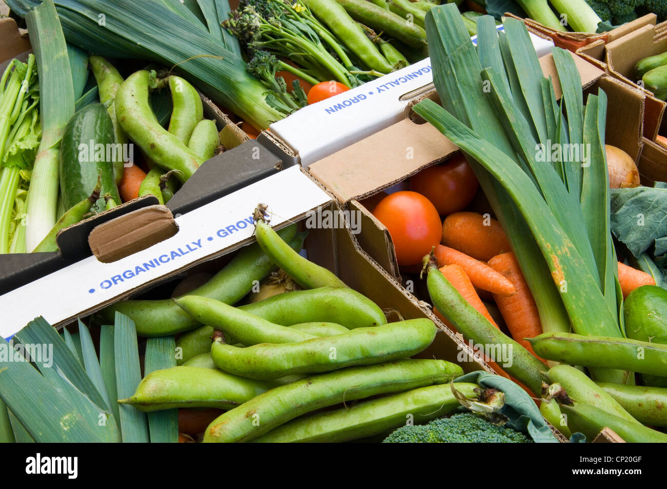 Fresh organic vegetables in boxes Stock Photo Alamy