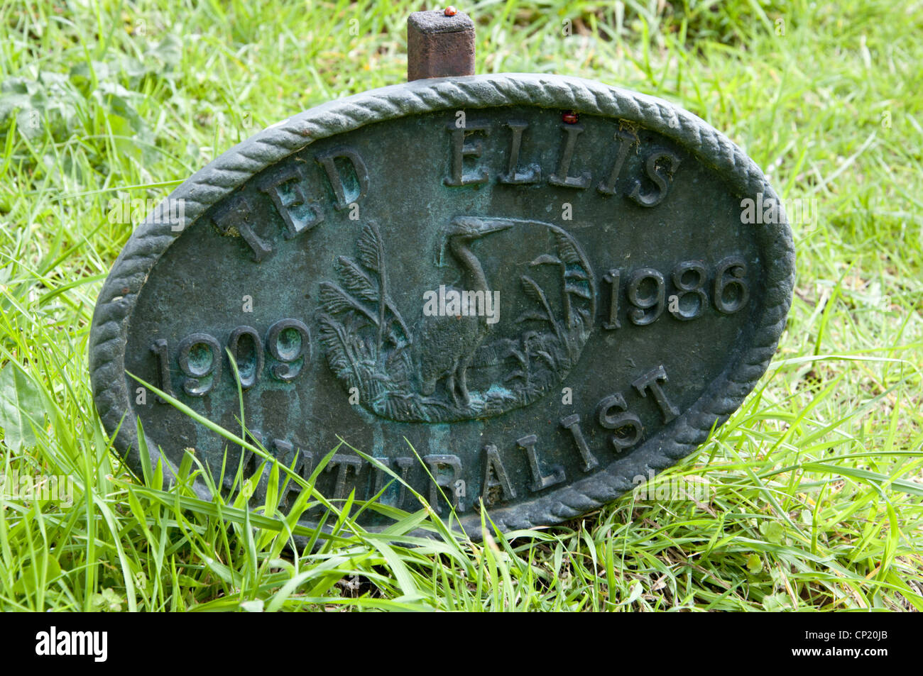 Grave of naturalist 'Ted Ellis' Stock Photo