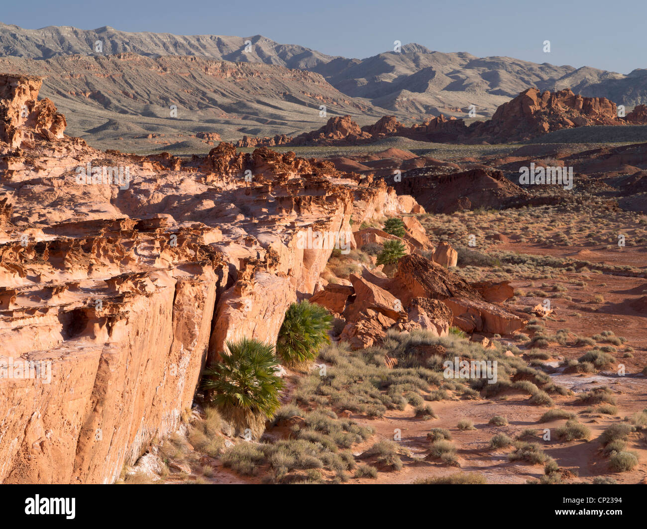 The eroded sandstone shapes of Devil's Fire, Nevada Stock Photo Alamy