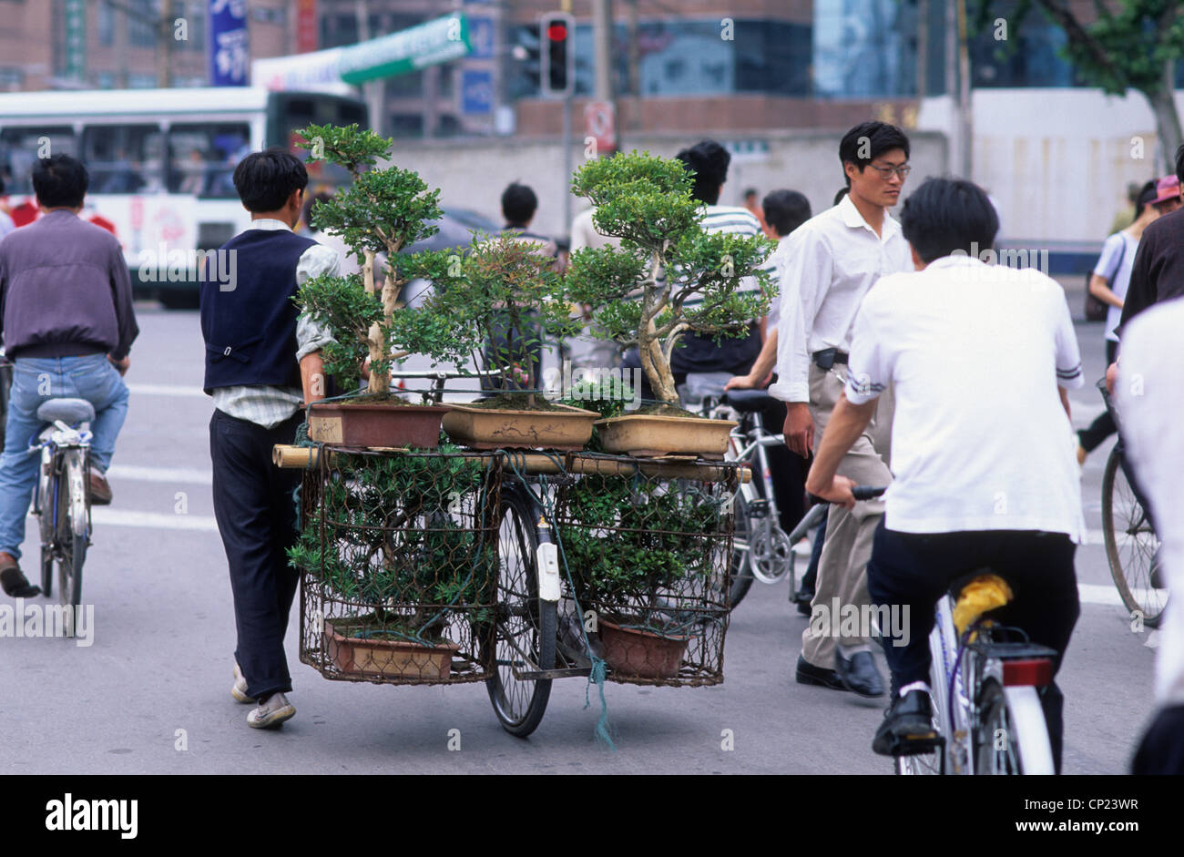 Bonsai trees transporting bike hi-res stock photography and images - Alamy