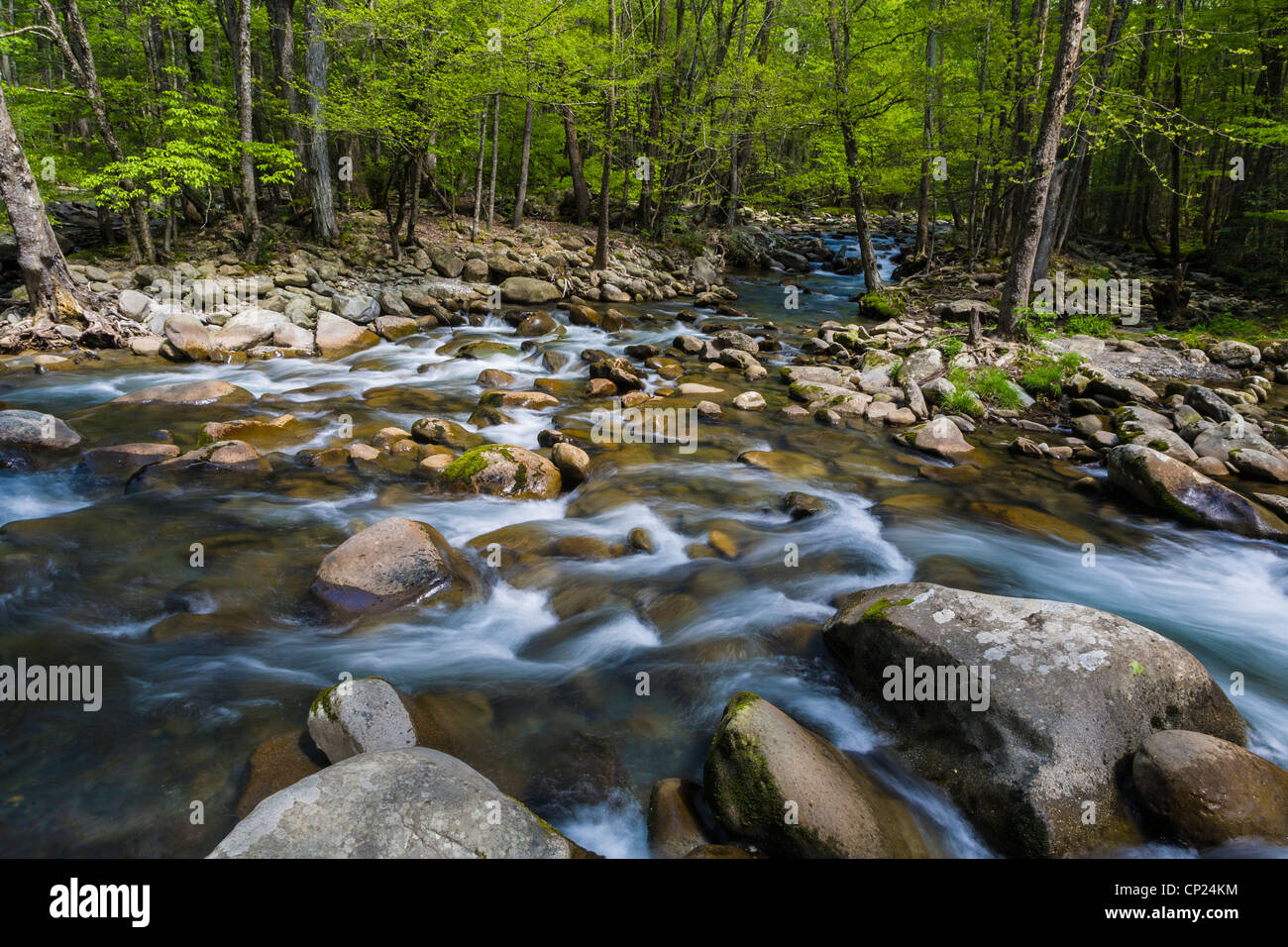 Spring on the Middle Prong of the Little Pigeon River in the Greenbrier area of the Great Smoky Mountains National Park in Tenn Stock Photo