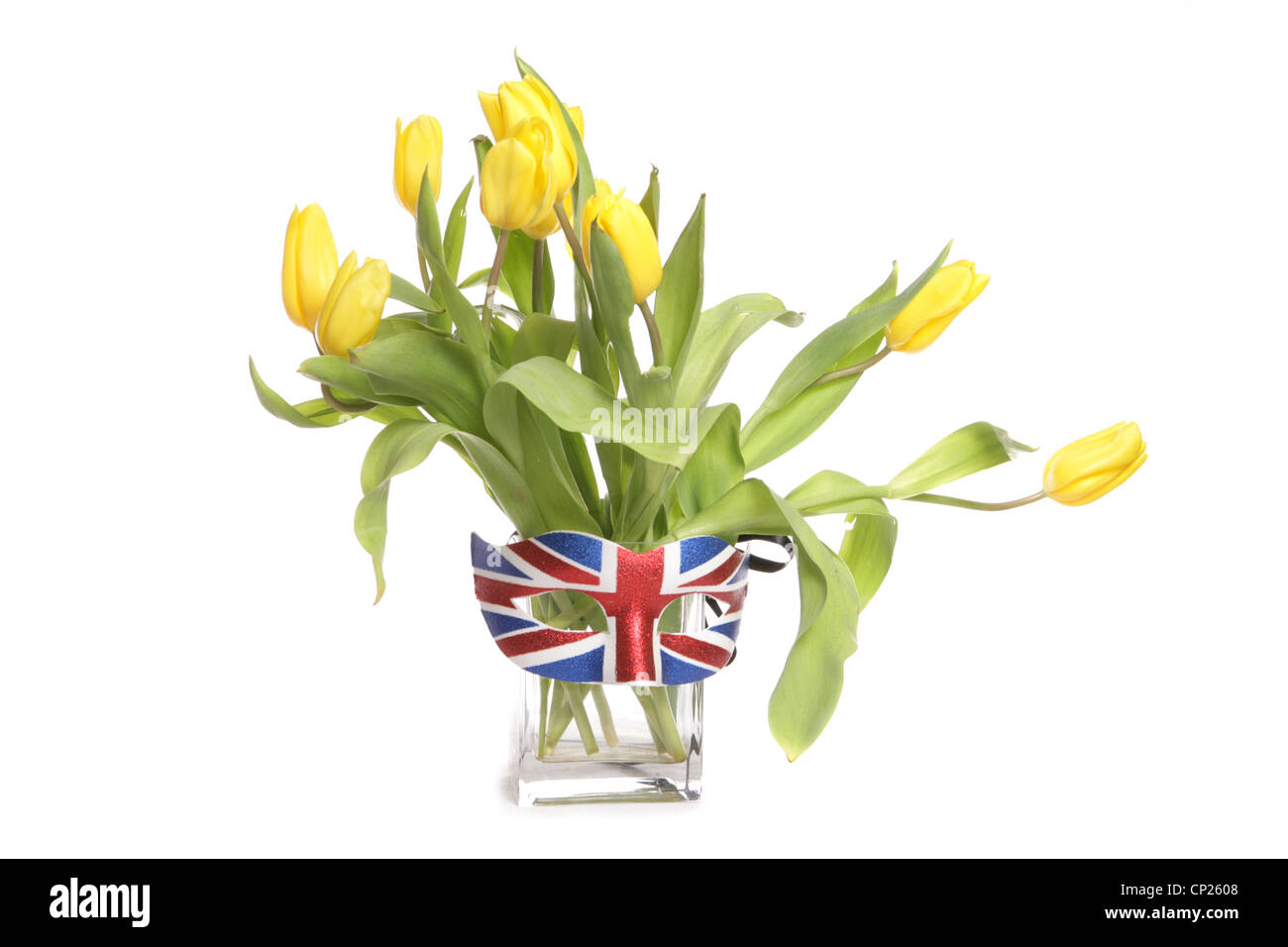 Download Yellow Tulips In A Vase With British Mask Studio Cutout Stock Photo Alamy PSD Mockup Templates