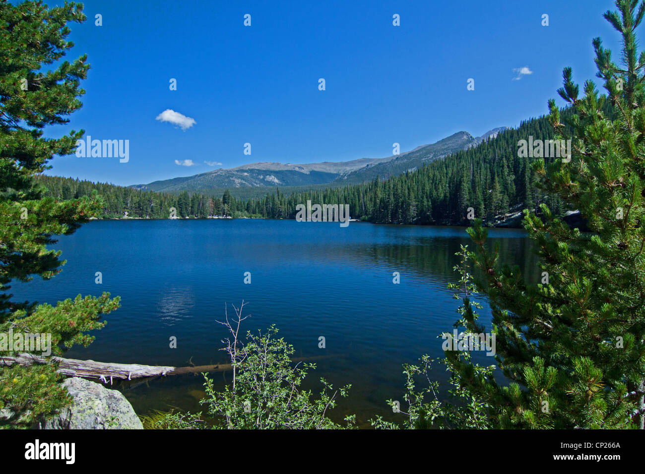 Bear Lake in Rocky Mountain National Park Stock Photo - Alamy