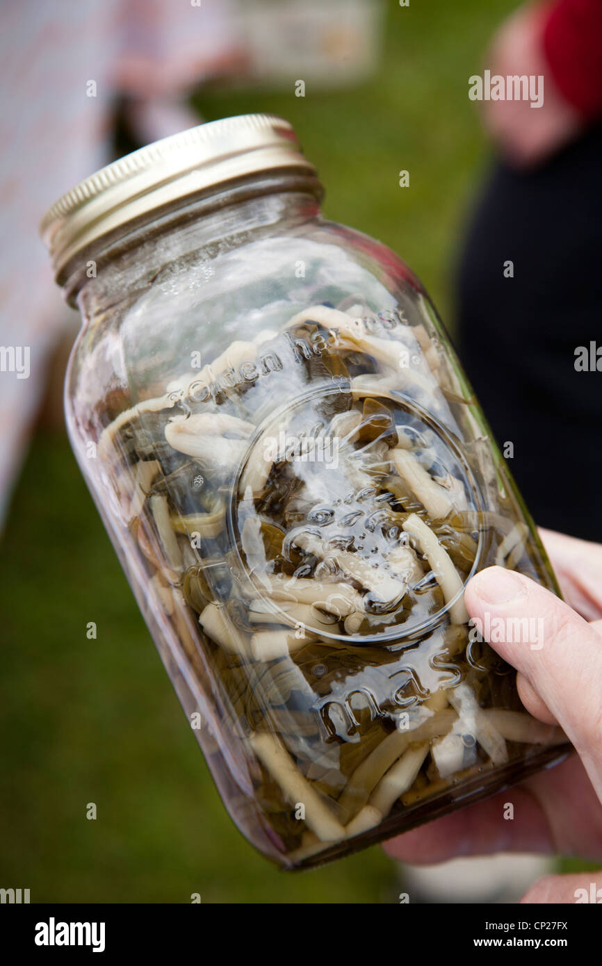 Pickled ramps at a food festival in Richwood, WV, USA Stock Photo