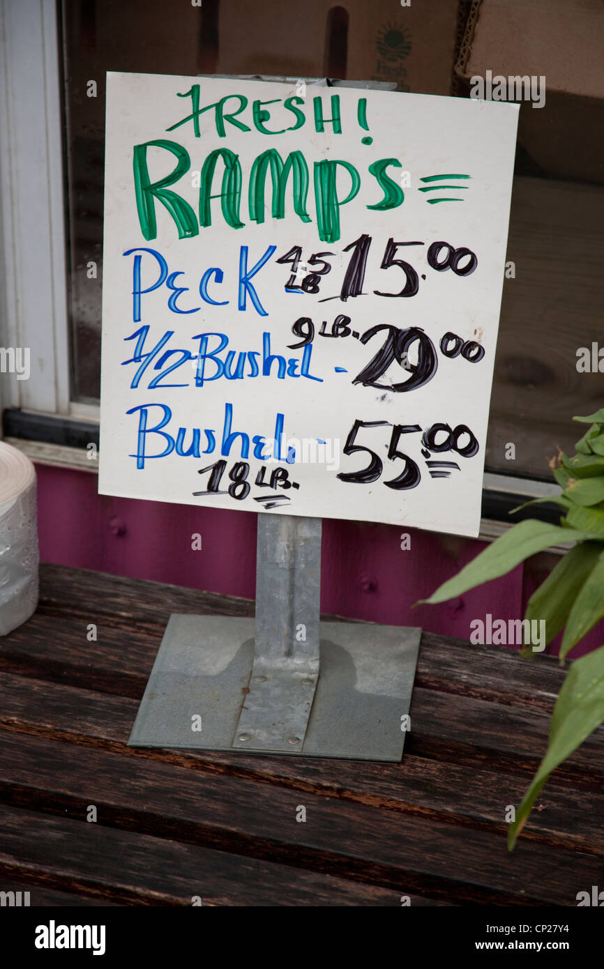 sign offering ramps or wild leeks for sale, Richwood, WV, USA Stock