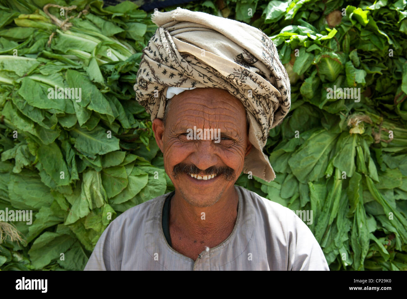 Egyptian market hi-res stock photography and images - Alamy