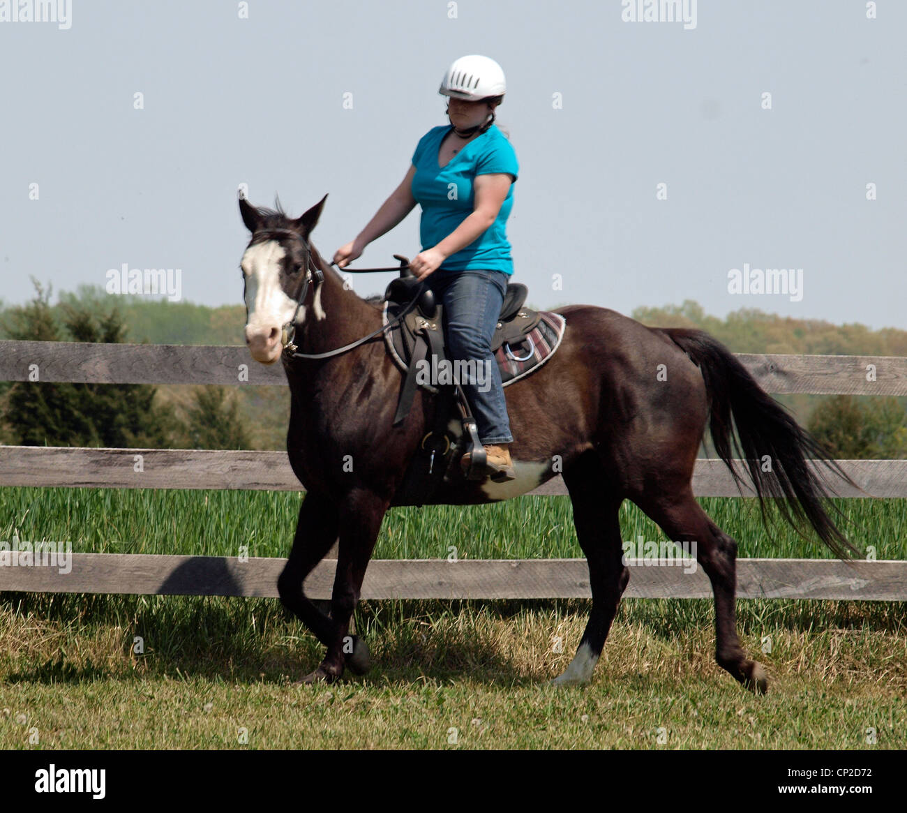 Horse and rider in ring hi-res stock photography and images - Alamy