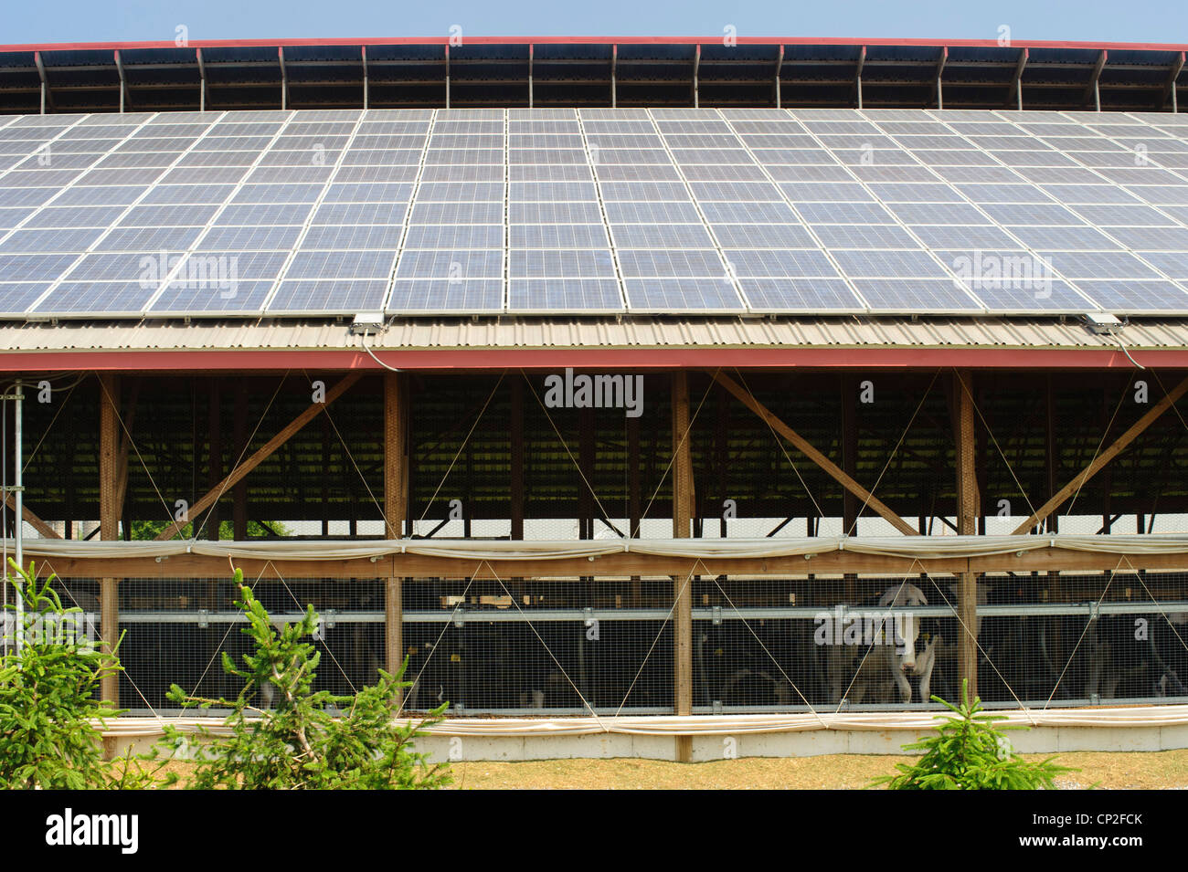 SOLAR PANELS ON BARN ROOF, MOUNT JOY, PA Stock Photo Alamy