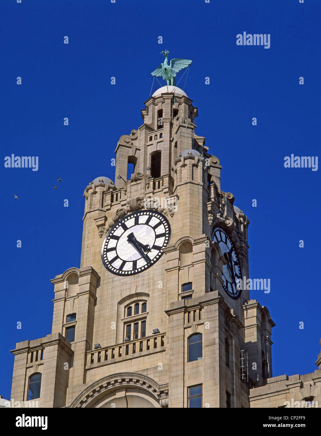Royal Liver Building on Liverpool Pier Head, Liverpool, Merseyside, England, United Kingdom Stock Photo