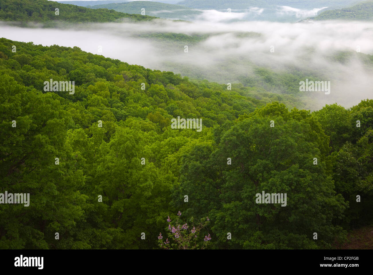 Artist point arkansas hi-res stock photography and images - Alamy