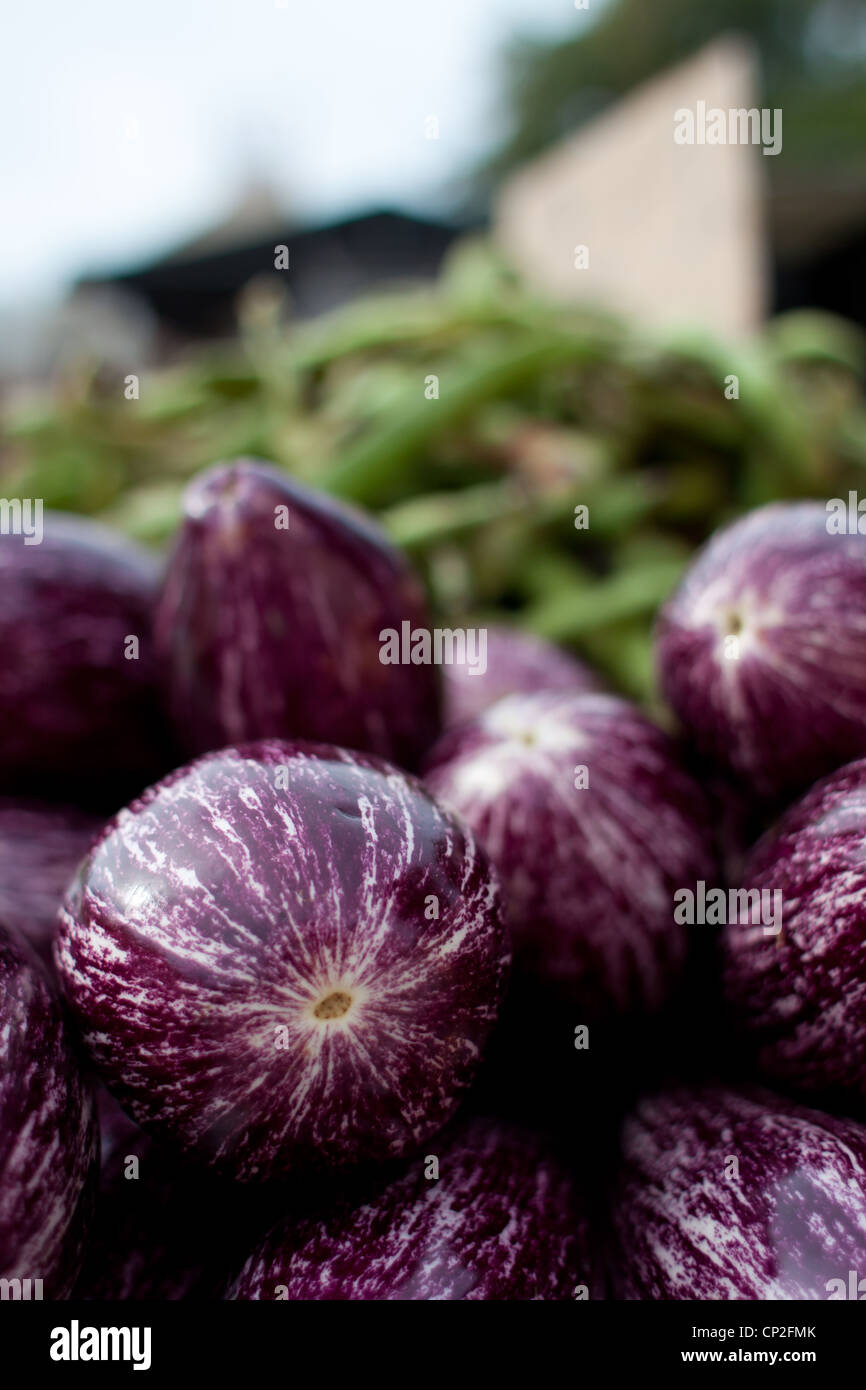Farm fresh eggplant / aubergines on display at a Spanish market. Green