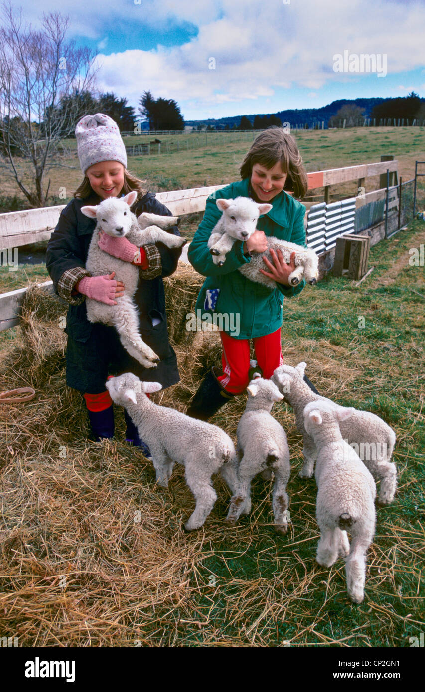Girls cuddling poddy (foster) lambs North Island,  Ohakune, New Zealand Stock Photo