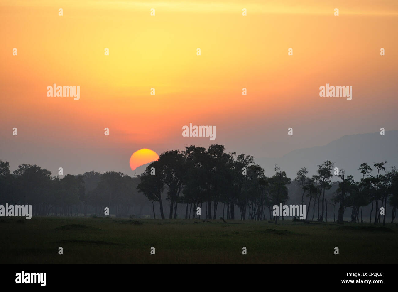 Maasai mara kenya landscape sunset hi-res stock photography and images ...