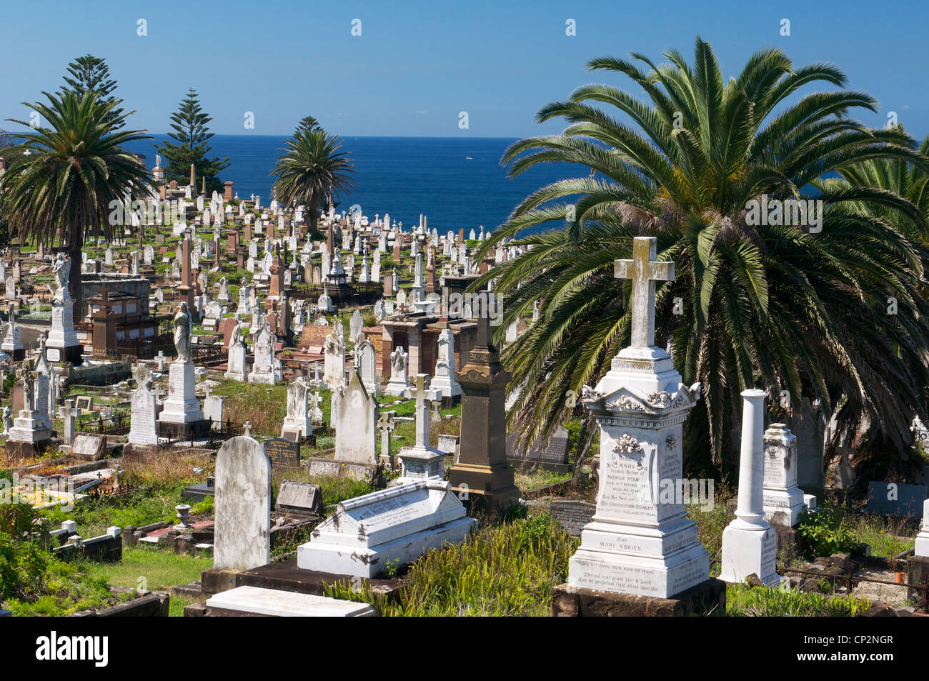 Waverley Cemetery Bronte Sydney Australia Stock Photo