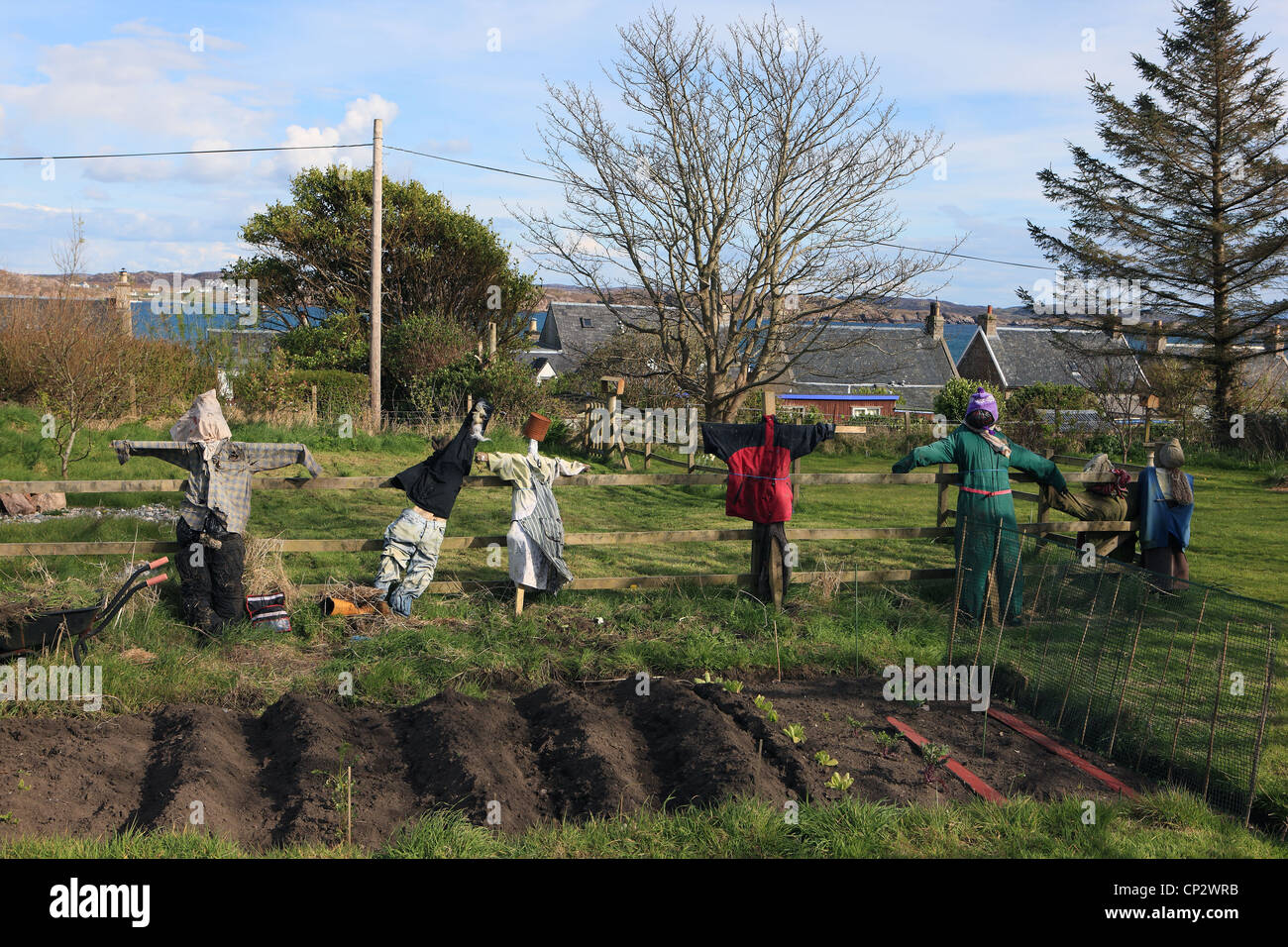 Scarecrows in the primary school vegetable garden on the Scottish island of Iona Stock Photo