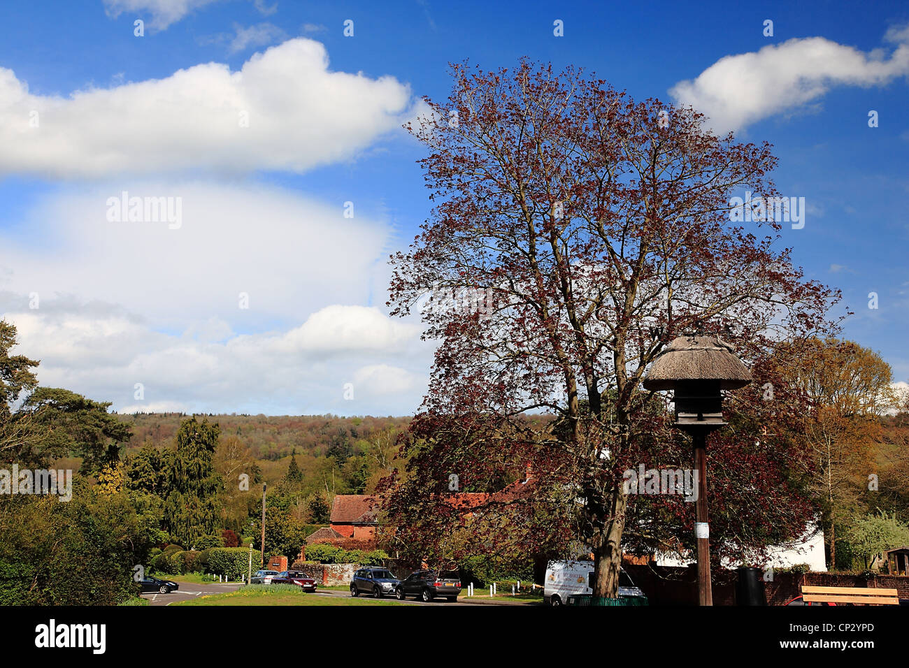 Westcott green, Surrey Hills, Surrey, England Stock Photo Alamy