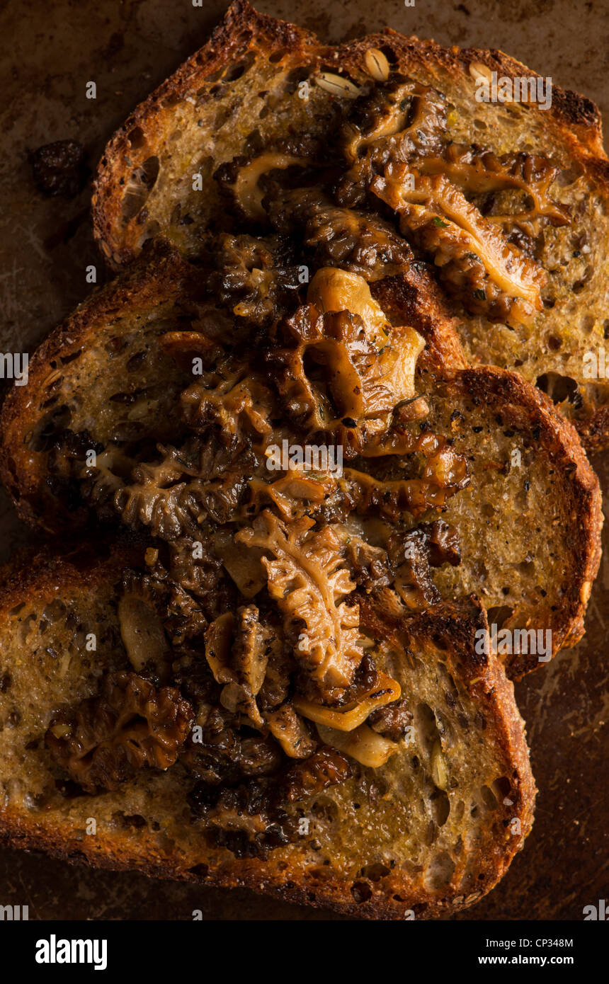 ROASTED MORELS ON TOAST Stock Photo Alamy