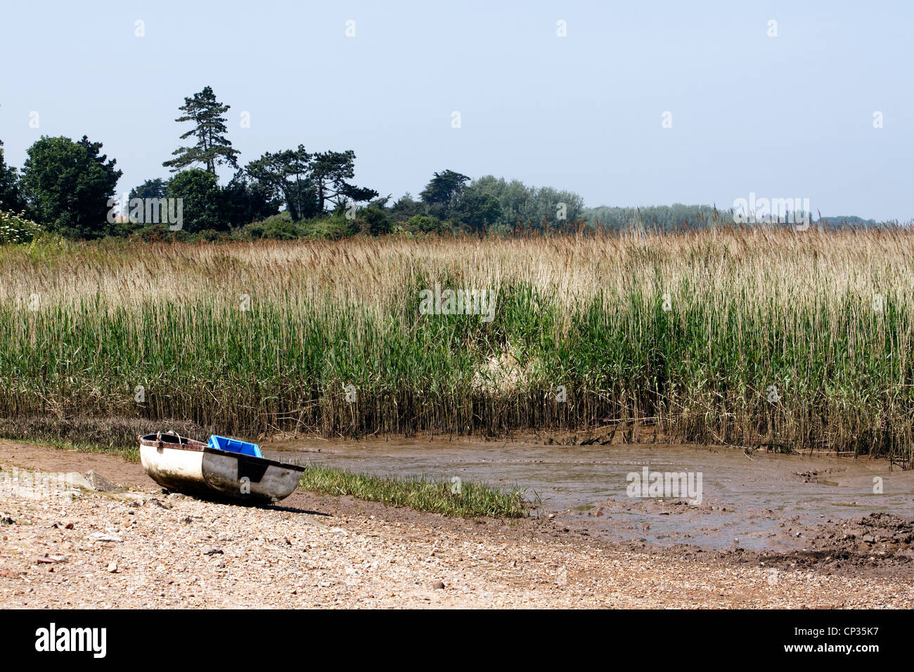 THE REED BEDS AT BRANCASTER STAITHE. NORTH NORFOLK. UK. Stock Photo