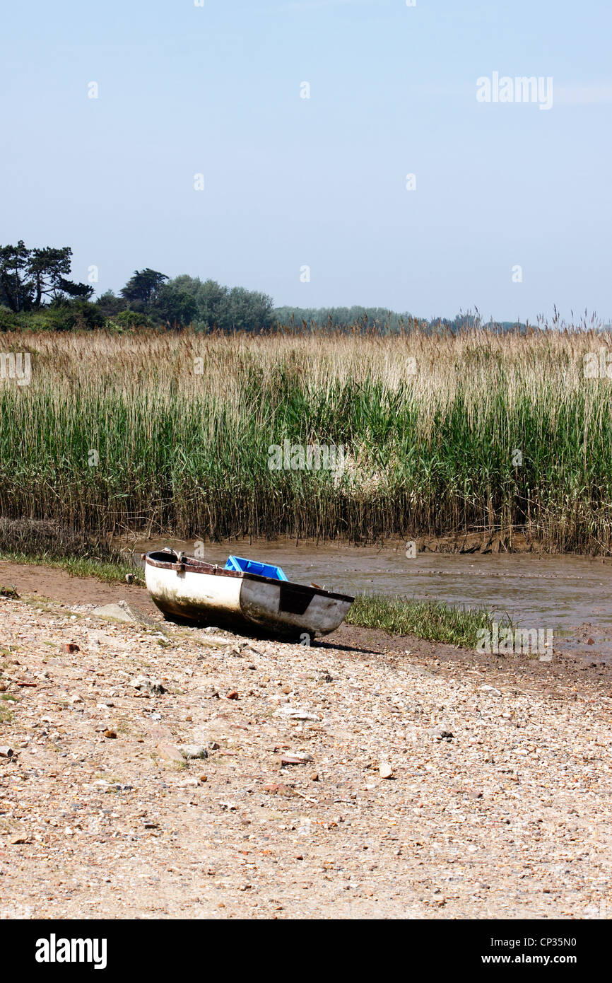 THE REED BEDS AT BRANCASTER STAITHE. NORTH NORFOLK. UK. Stock Photo