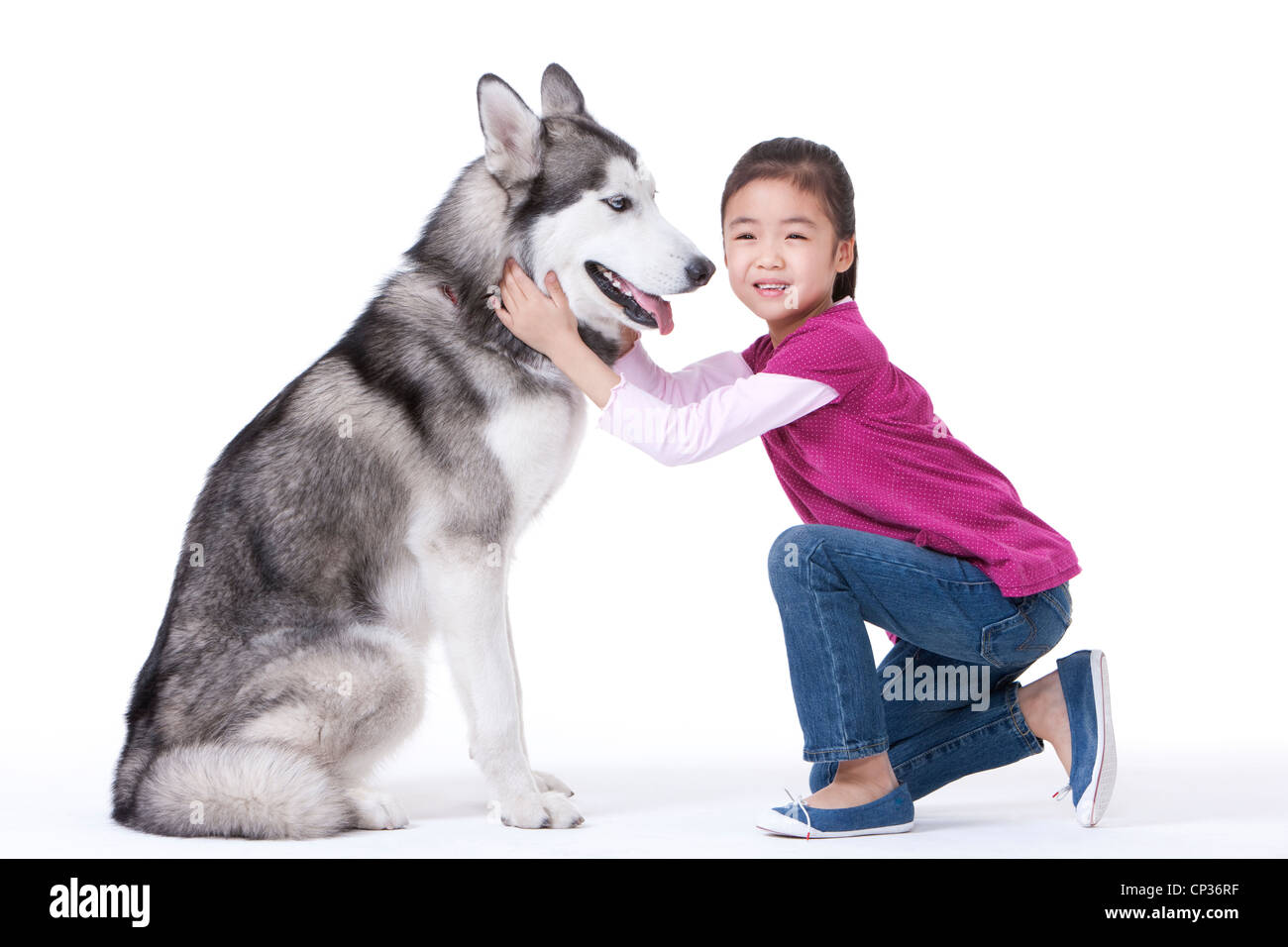 Cute little girl playing with a Husky dog Stock Photo Alamy