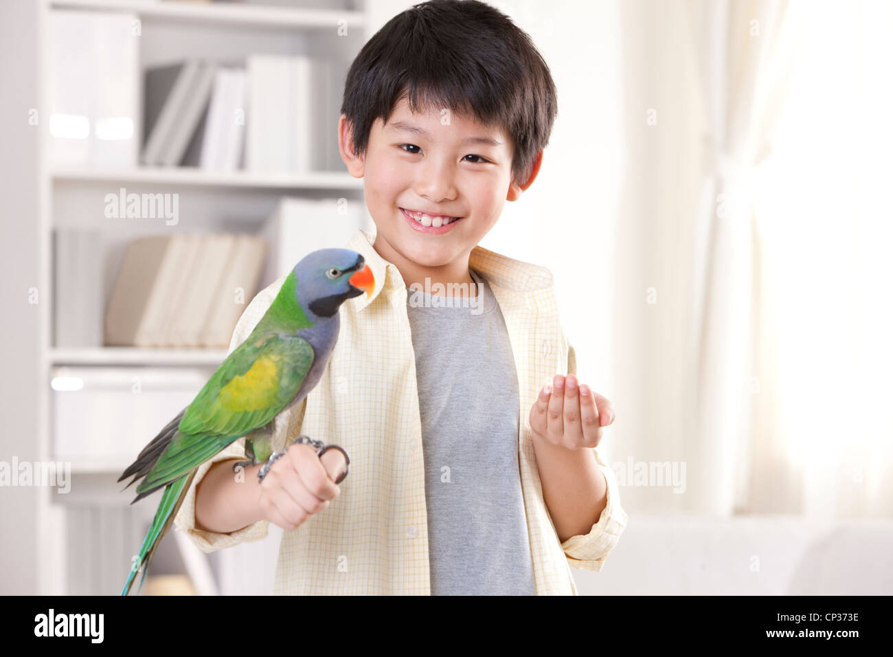 Little boy playing with a pet parrot Stock Photo Alamy