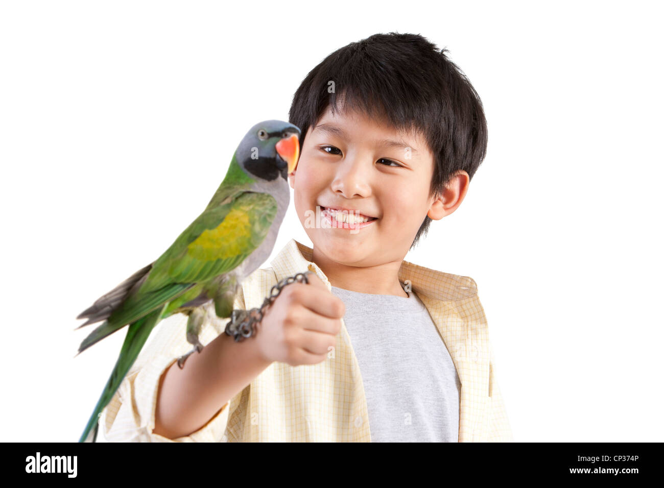 Little boy playing with a pet parrot Stock Photo Alamy